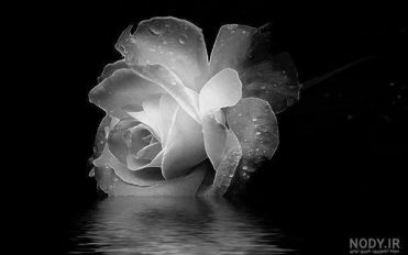 photo_۲۰۲۵-۰۳-۱۸_۱۶-۲۶-۴۳ photo_۲۰۲۵-۰۳-۱۸_۱۶-۲۶-۴۳