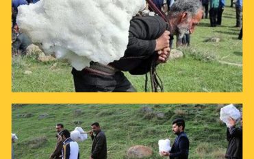 photo_۲۰۲۵-۰۴-۲۶_۱۰-۲۸-۰۰ photo_۲۰۲۵-۰۴-۲۶_۱۰-۲۸-۰۰